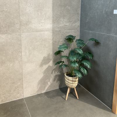 Koje Neue Ausstellung 120x120